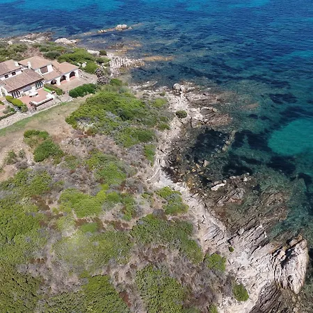 Apartment Homeby - Il Delfino