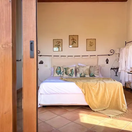 Homeby - Il Delfino * Golfo Aranci