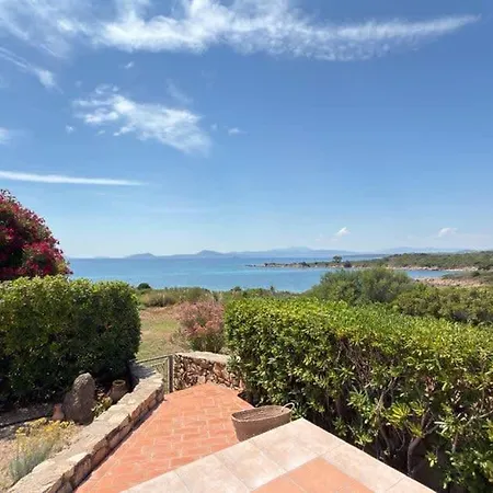 Apartment Homeby - Il Delfino *